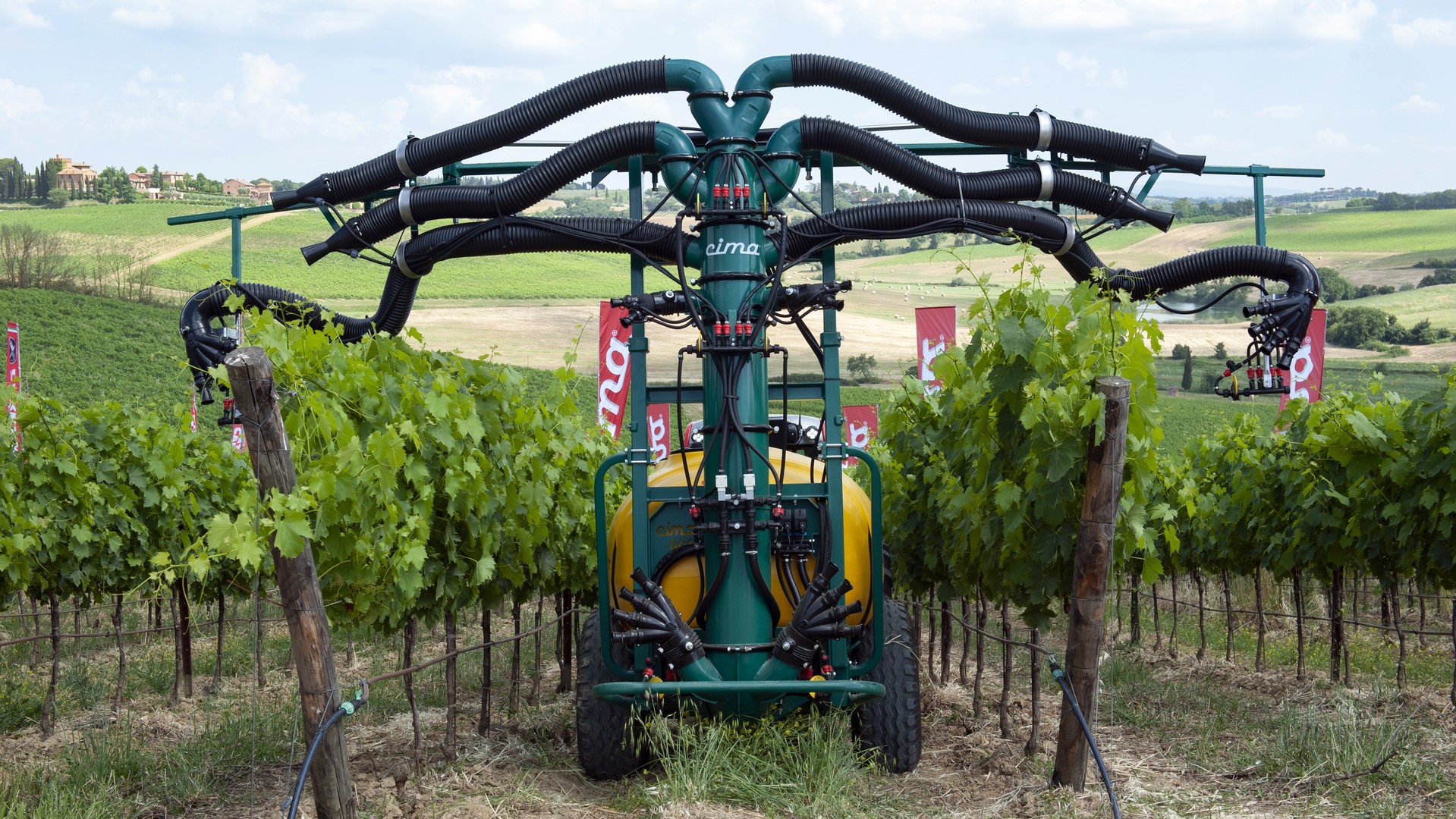 CIMA MULTI VITIS 6|multi-vitis-6-azione-testat